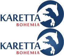 Primary Raster logo